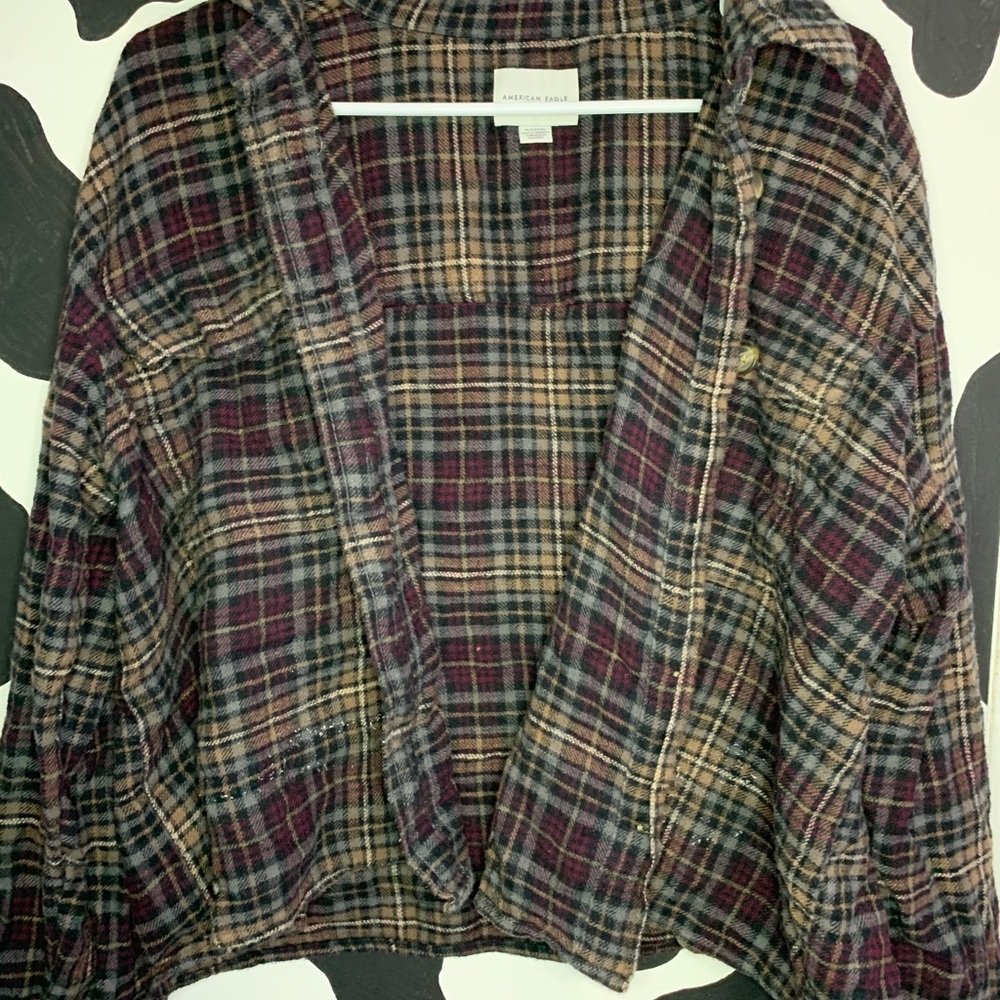 Flannel from American Eagle